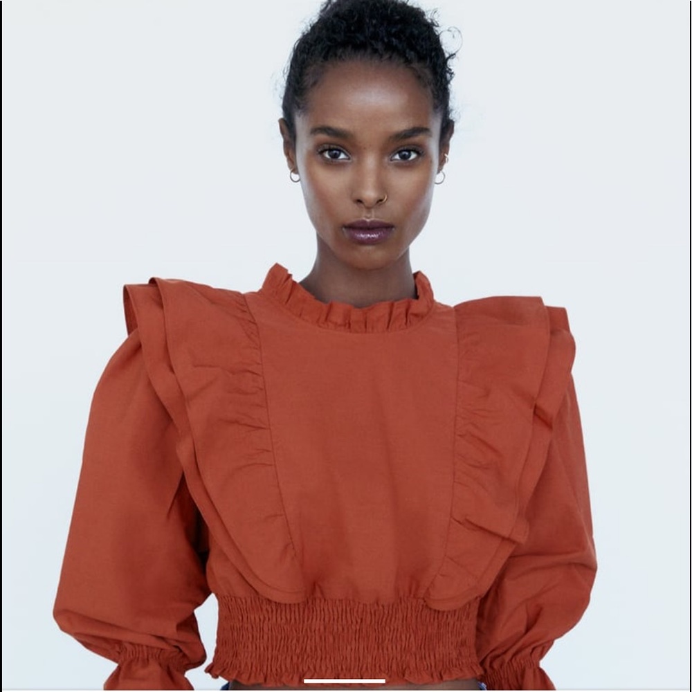 NWT Zara Ruffled Poplin Crop Top Shirt In Brick
